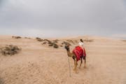 Desert Adventures & Sports in Qatar