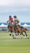Polo AlMarsa | Tickets & Packages 