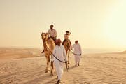 أهم الأنشطة للعائلات في صحراء قطر وهوائها العليل