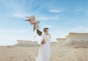 Scopri il Qatar attraverso gli occhi di un falco