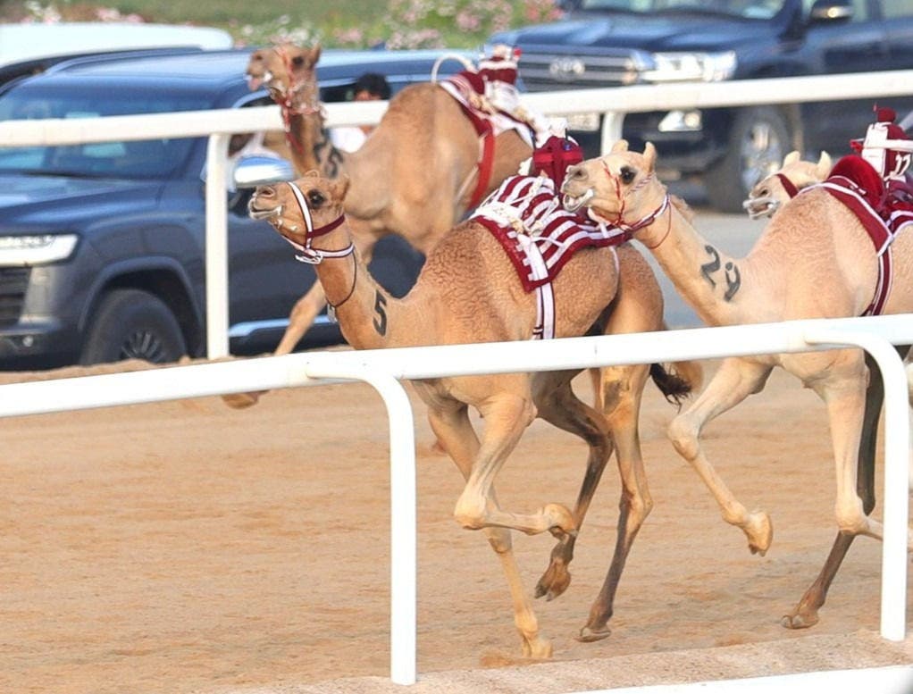 The Third Local Race