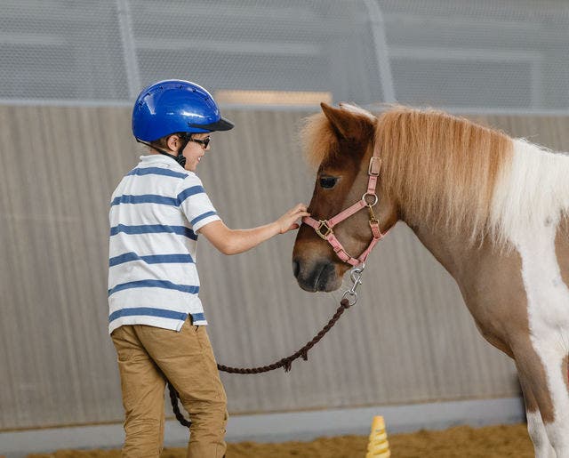 Al Shaqab Pony Club Yaz Kampı (3-6 Yaş)