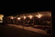 Ain Mohammad Village | Qatar’s Living Heritage and Desert Oasis