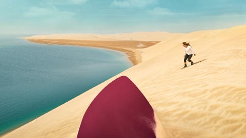 Migrazione dei fenicotteri in Qatar