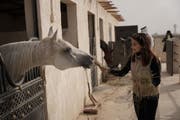Ain Mohammad Village | Qatar’s Living Heritage and Desert Oasis