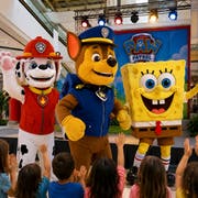 Summer Splash | PAW Patrol & SpongeBob at Meryal Beach