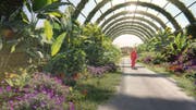 Exposición Internacional de Horticultura de Doha 2023