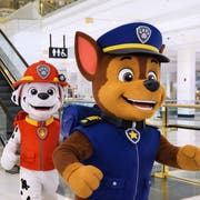 Summer Splash | PAW Patrol & SpongeBob at Meryal Beach