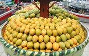 Bangladesh Mango Festival