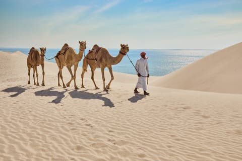 مدن قطر وبلداتها