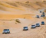 Half-Day Desert Safari