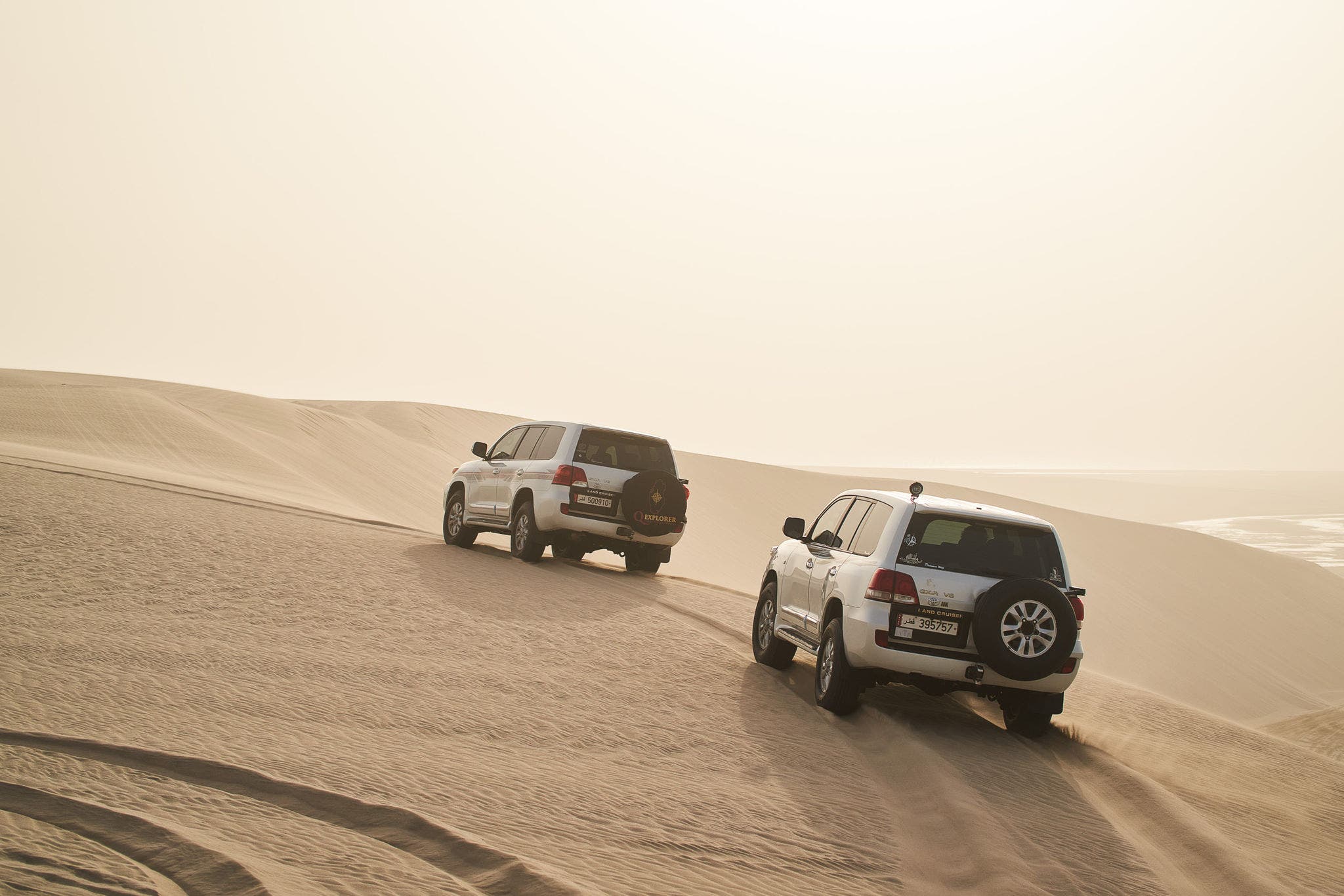 Sealine | Desert Wonder Experience