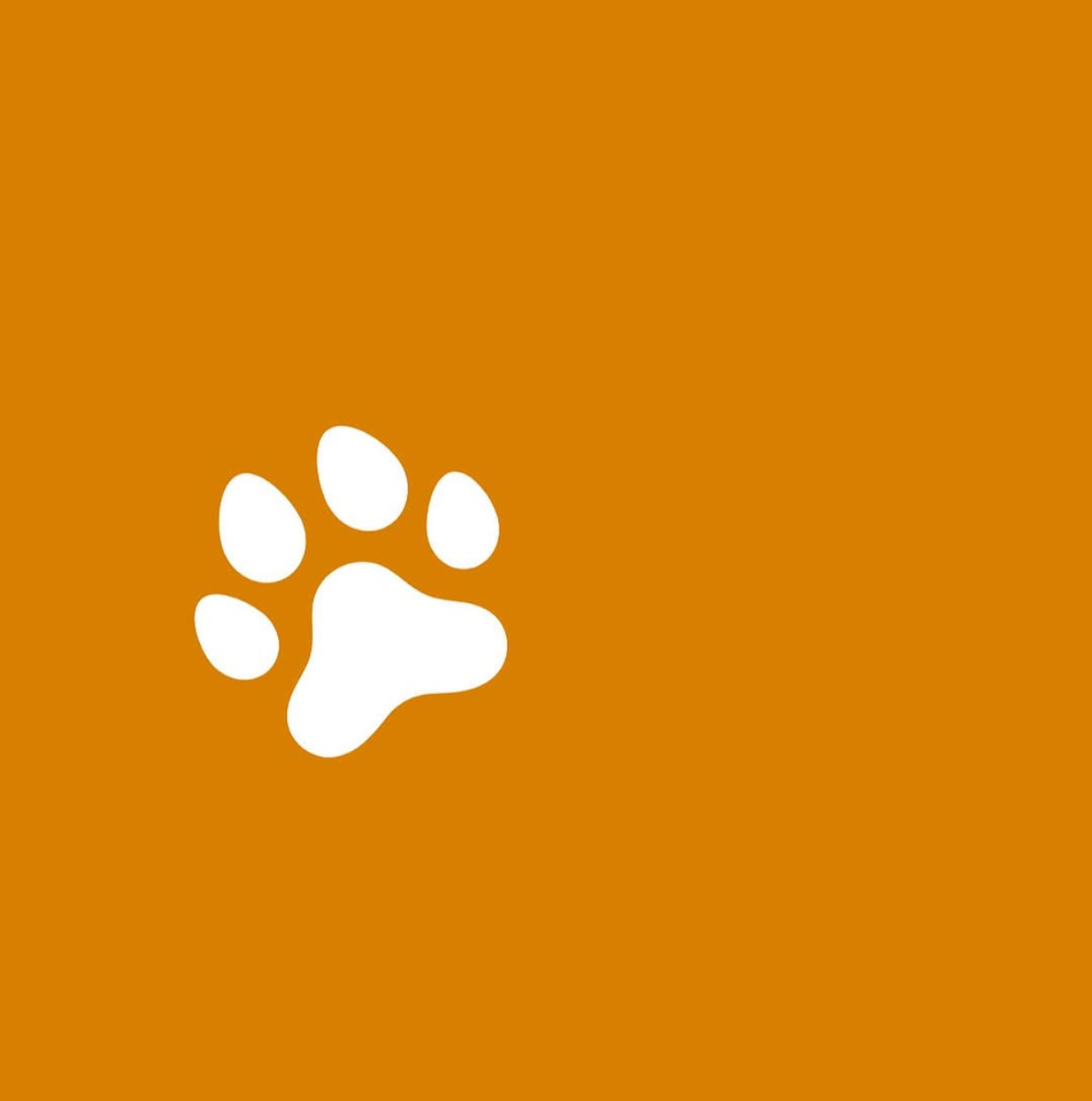 نوفا بو فيستفال - بيرل 2026