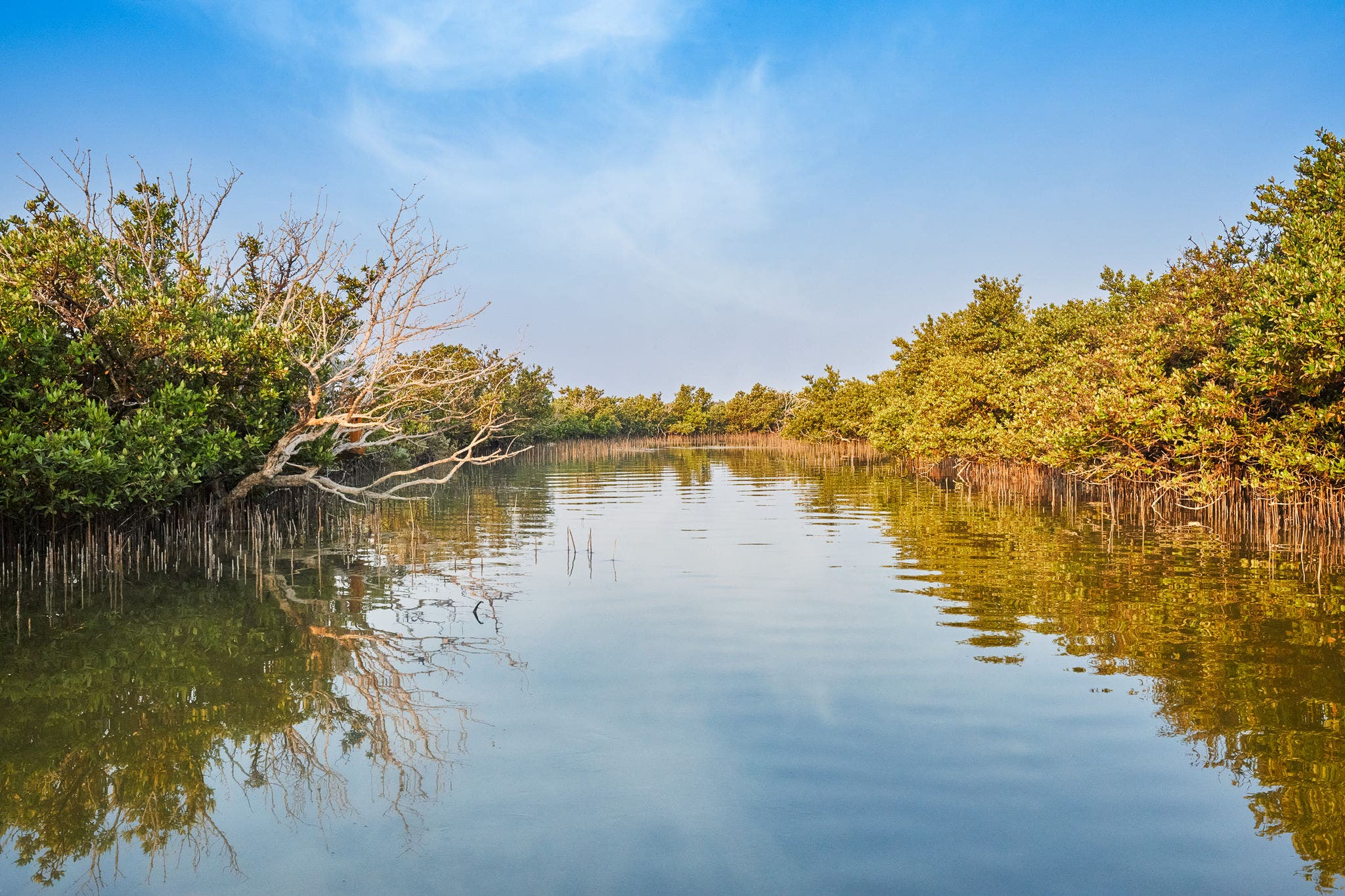 الخور | مدينة ساحرة