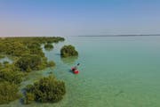 Al Thakhira Mangroves