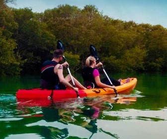 Mangroves Kayaking at Purple Island