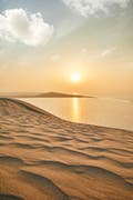 desert safari camel ride qatar The desert