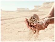 Katar’da doğa | Doğal harikaları keşfedin