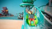 Whale Sharks Season 2025 | Book a tour