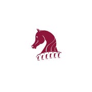 tourist visa to qatar Katara International Arabian Horse Festival