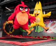 Angry Birds World Theme Park