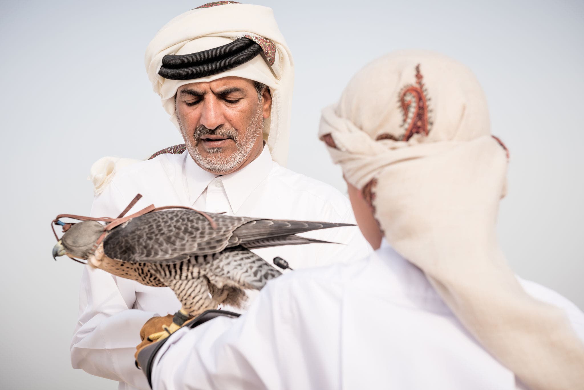 Top things to do in Souq Waqif