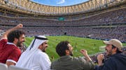 Sports & competitions 