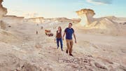 Visit Qatar your way