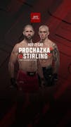 ليلة UFC القتالية في الدوحة
