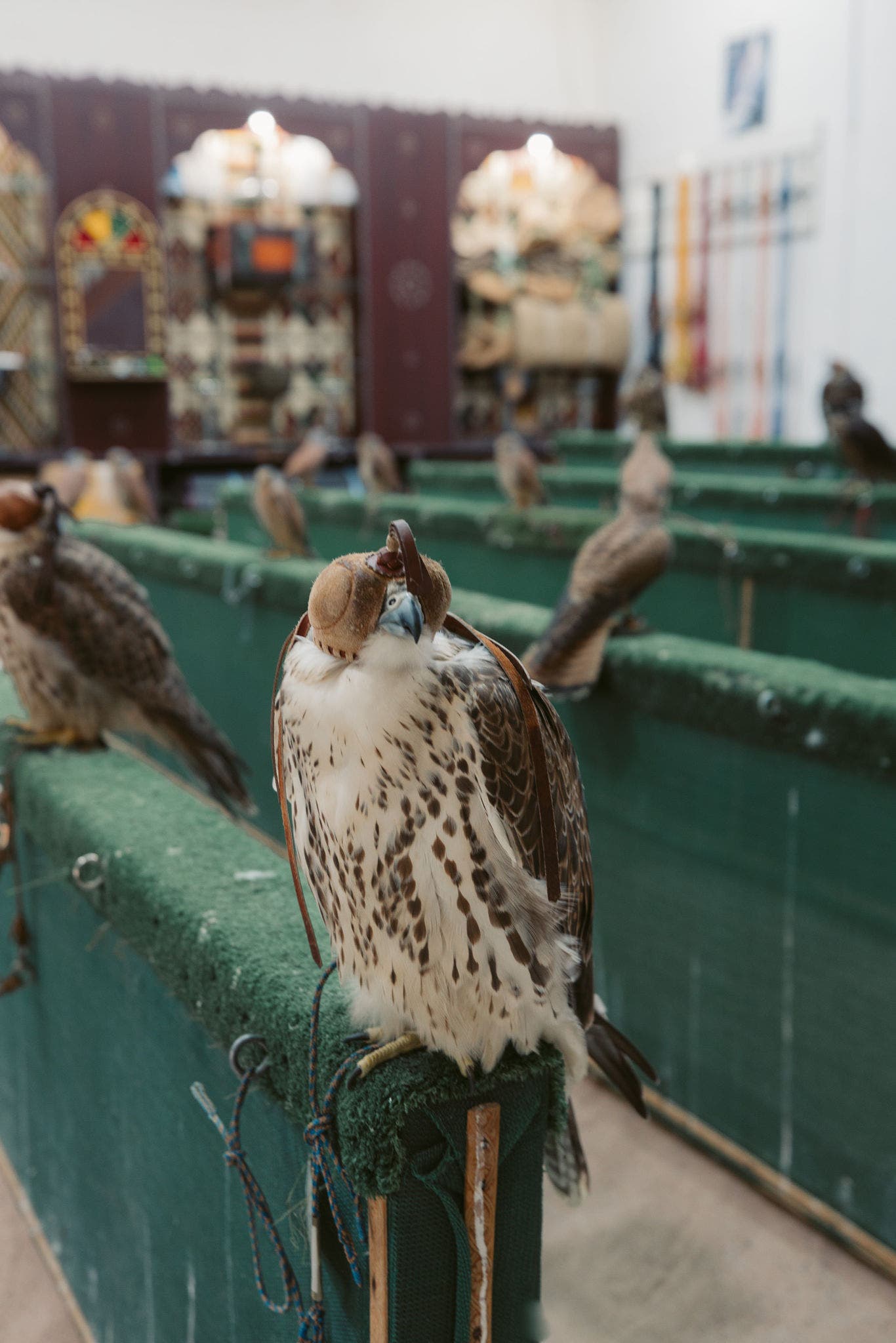 Top things to do in Souq Waqif