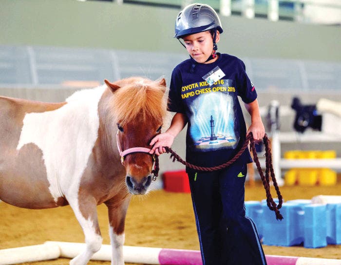 Camp d’été Al Shaqab Pony Club (6-9 ans)