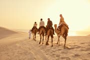 探索卡塔尔人迹罕至的旅游路线