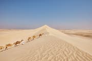 La naturaleza en Catar | Descubre sus encantos naturales