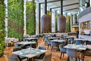 Stay & Dine - The Ritz-Carlton Doha