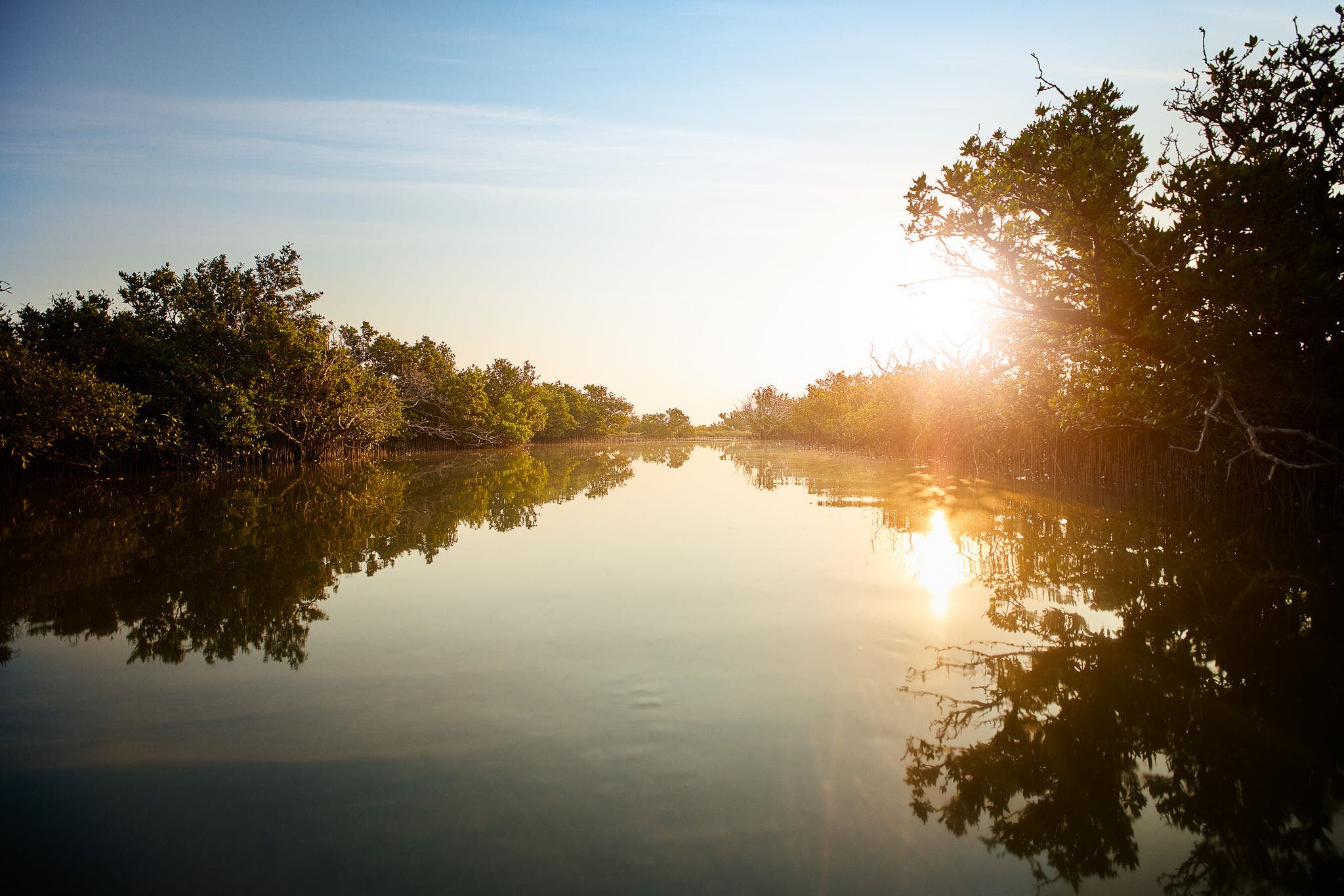 Virtual reality experiences