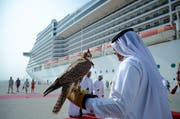 Beliebte Kreuzfahrtschiffe, die in Katar anlegen