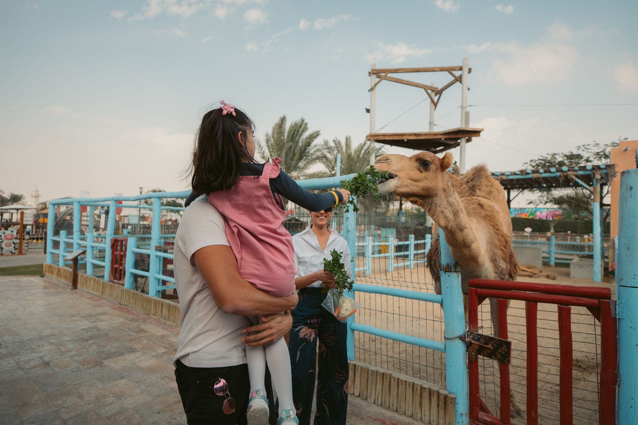 Al Khor family park & zoo | Rare wildlife