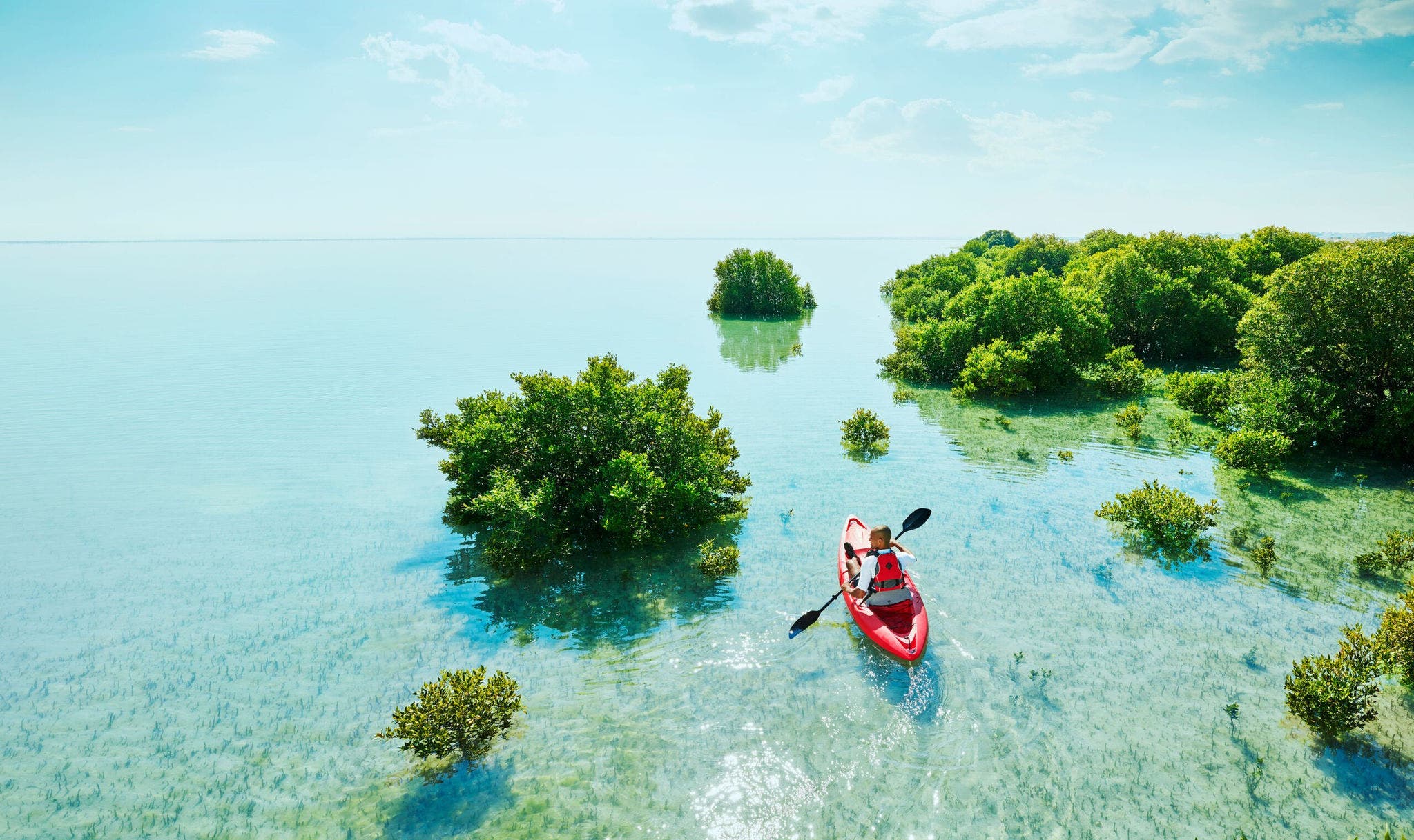 Aventure en kayak dans la mangrove