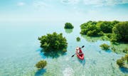 Aventura en kayak por los manglares