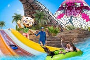 Ladies' Day at Salwa Beach
