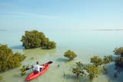 卡塔尔 - 水上运动的天堂
