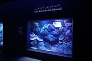 Centro visitatori e acquario del porto di Hamad