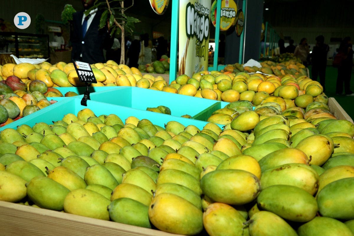 The 2nd Indian Mango Exhibition