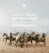tourist visa to qatar Al Shaqab International Arabian Horse Show