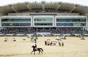 Al Shaqab Hero Race (Equestrian)