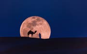 استمتع بمشاهدة القمر الوردي العملاق في قطر