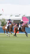 Polo AlMarsa | Tickets & Packages 