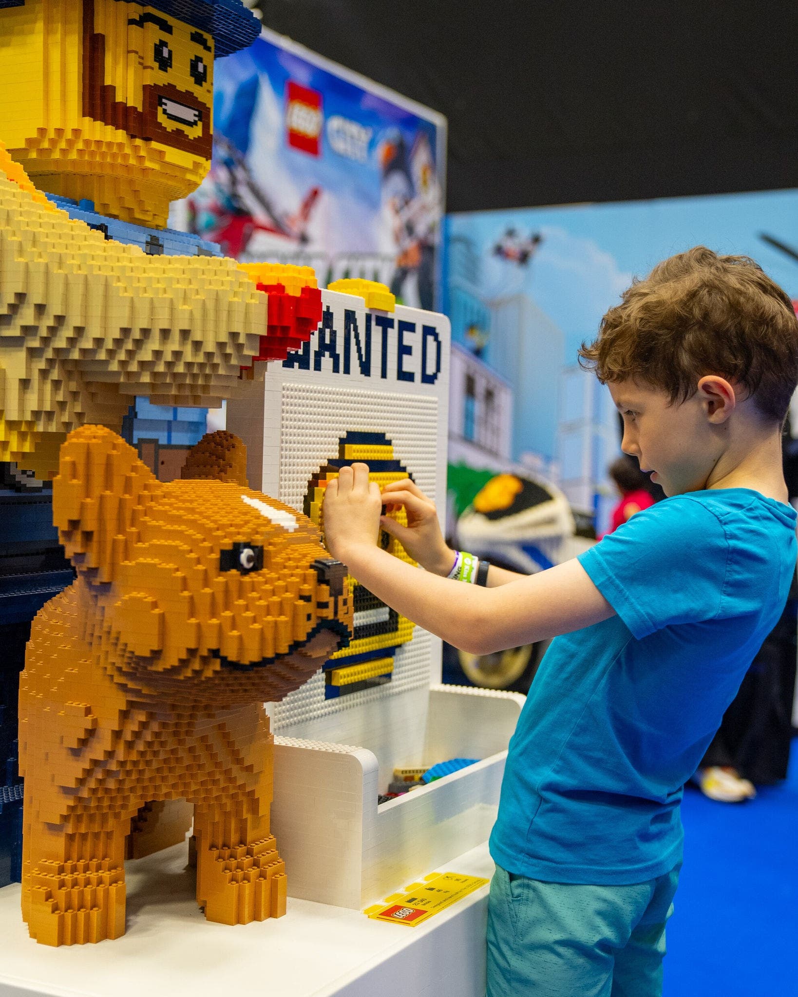 LEGO® Shows 2025