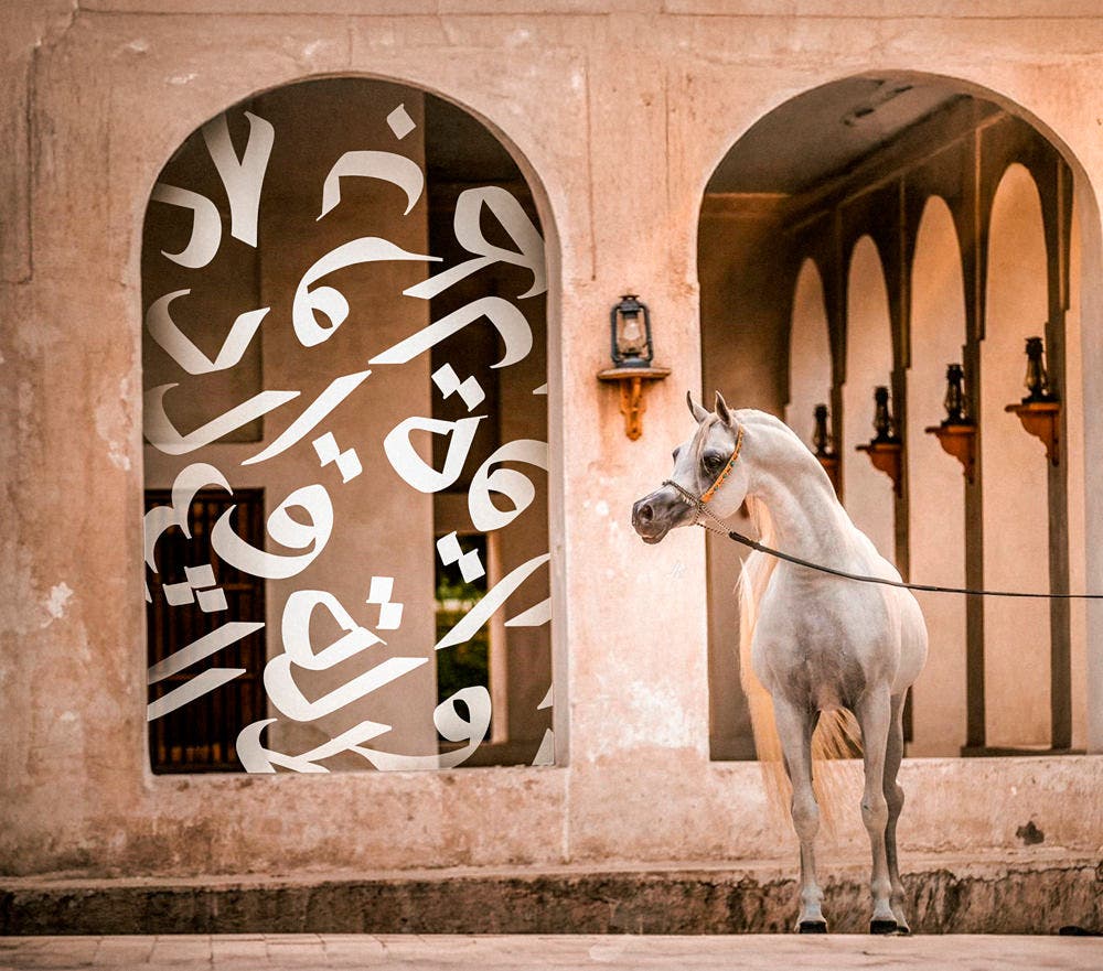 Al Shaqab International Arabian Horse Show