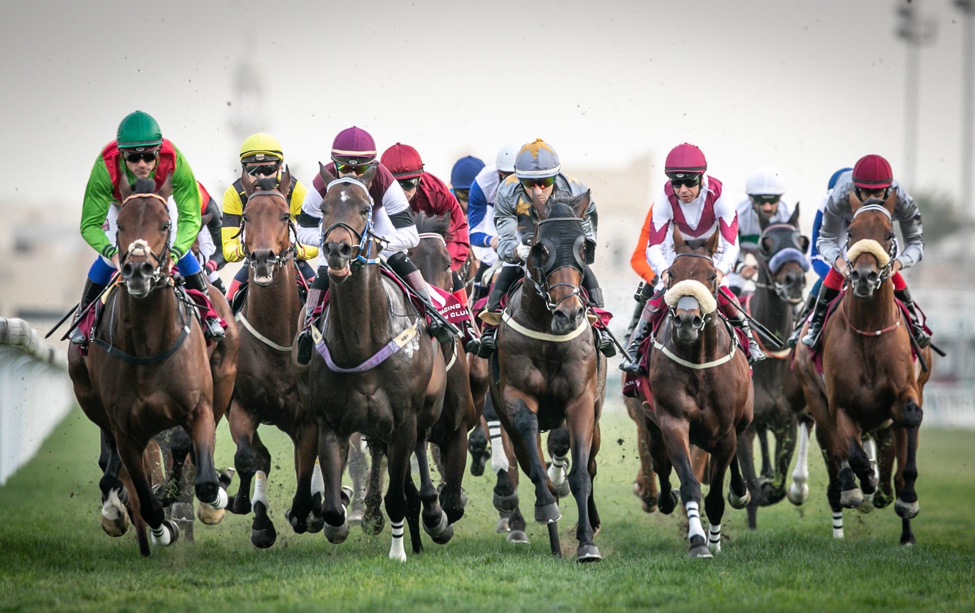 Qatar Racing and Equestrian Club | Visit Qatar